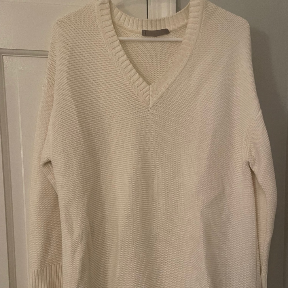 Everlane V neck sweater